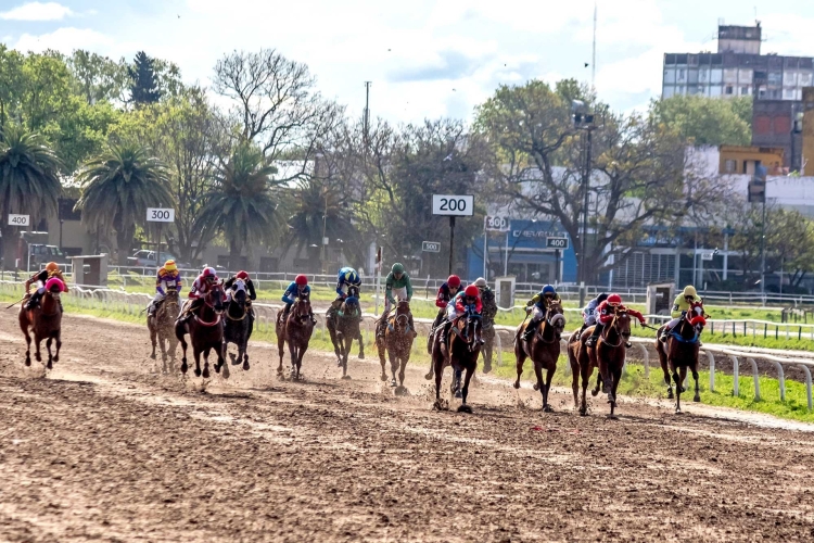 Purity Spring se galardonó con la carrera más importante del año